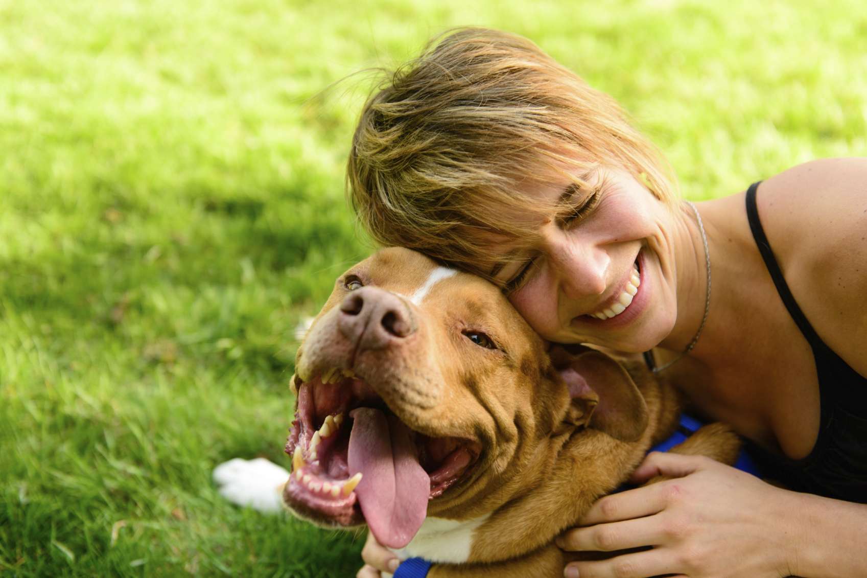 7 Grieving Remedies for Coping with Pet Loss