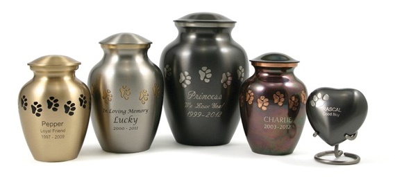 How Much Does Pet Cremation Cost?
