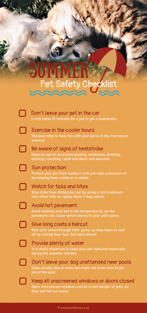 Summer safety tips for pets