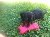 Winnie